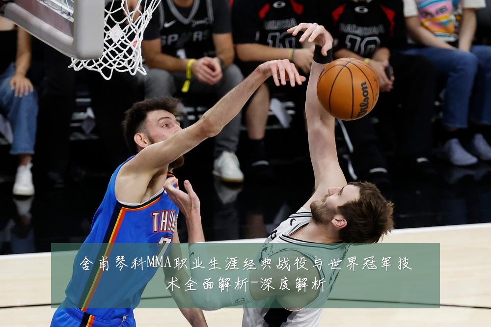 舍甫琴科MMA职业生涯经典战役与世界冠军技术全面解析-深度解析
