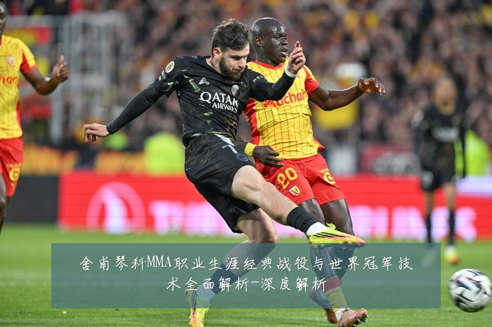 舍甫琴科MMA职业生涯经典战役与世界冠军技术全面解析-深度解析